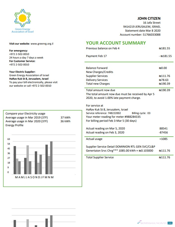 download Israel Green Energy Association of Israel utility bill template in Word and PDF format (doc) PDF template